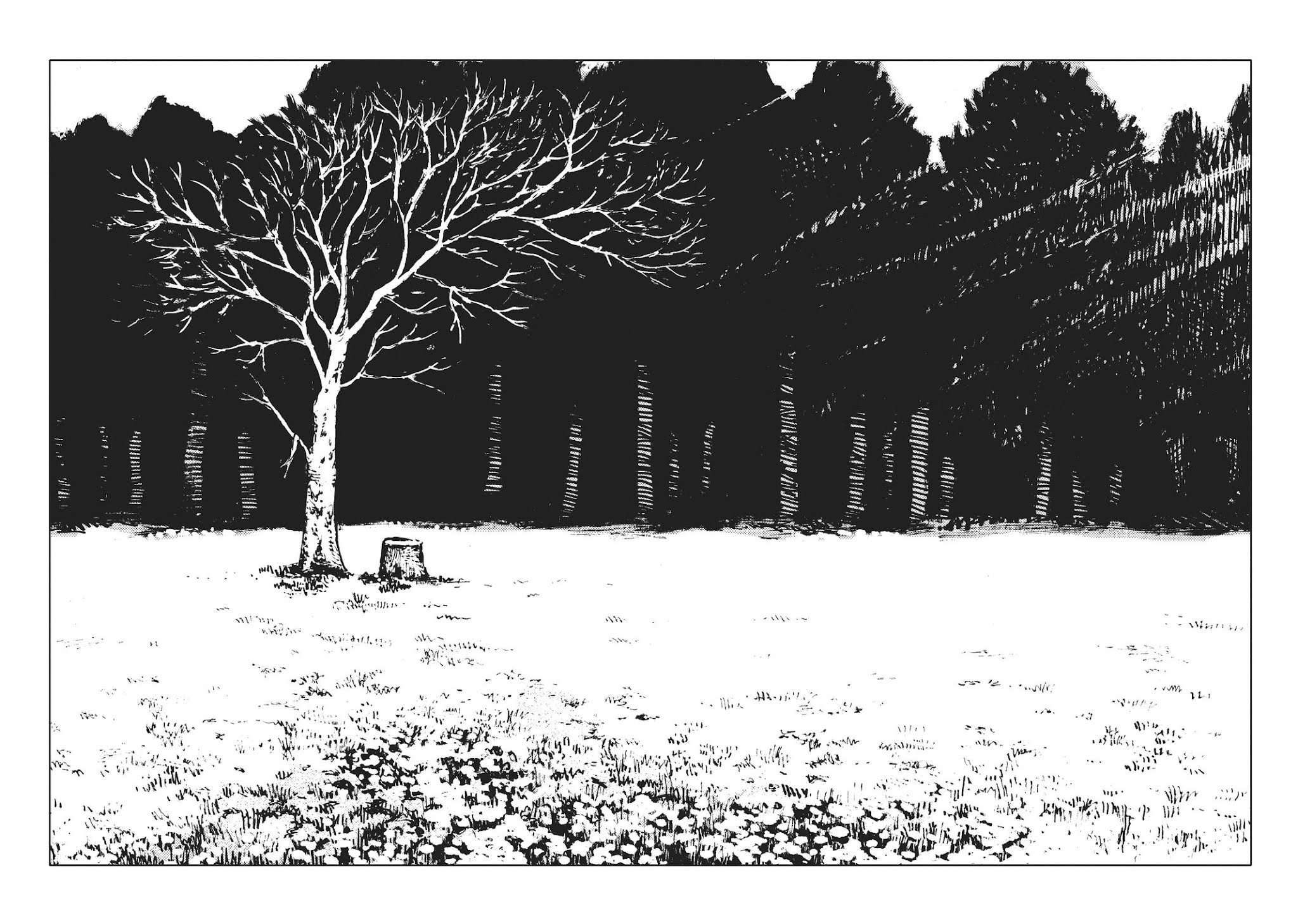 Totsukuni no Shoujo Chapter 53 page 37 - Chapter 53 [END]