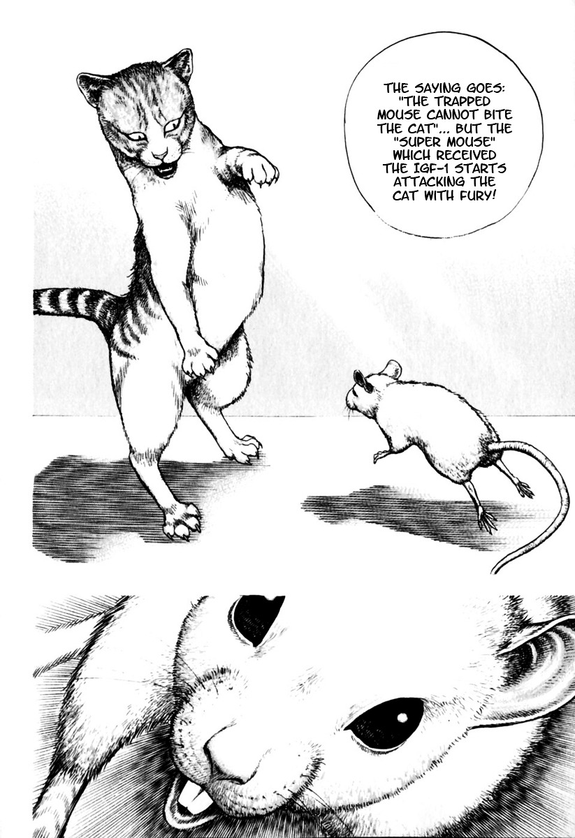 Tough Chapter 153 page 5 - Chapter 153 : 153rd Match - The Devil's Proposition