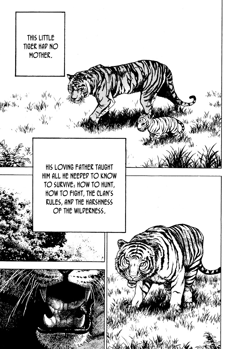 Tough Chapter 217 page 4 - Chapter 217 : 217th Match - Between Bellicism and Affection