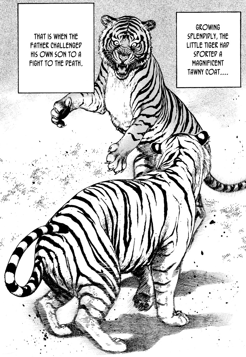 Tough Chapter 217 page 5 - Chapter 217 : 217th Match - Between Bellicism and Affection