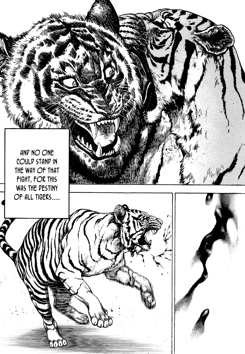 Tough Chapter 217 page 6 - Chapter 217 : 217th Match - Between Bellicism and Affection