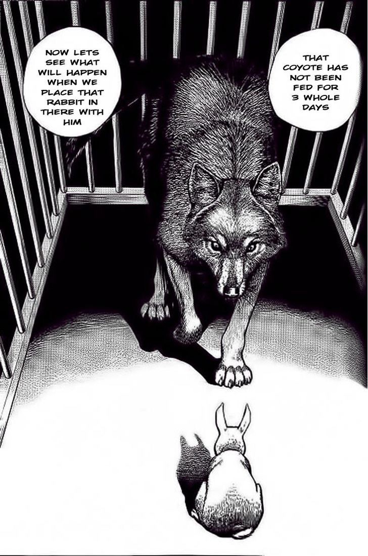 Tough Chapter 234 page 11 - Chapter 234 : Match