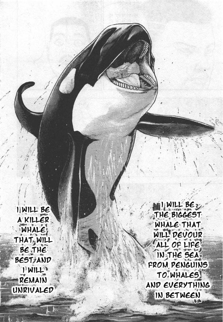 Tough Chapter 285 page 16 - Chapter 285 : Match