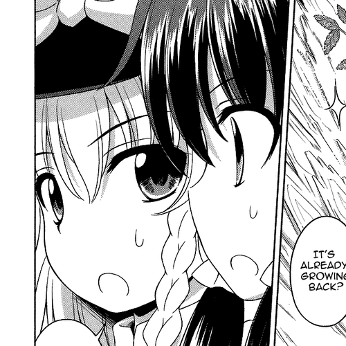 Touhou Sangetsusei: Strange and Bright Nature Deity Chapter 22: The Largest Organism in the World (Latter Part) cover