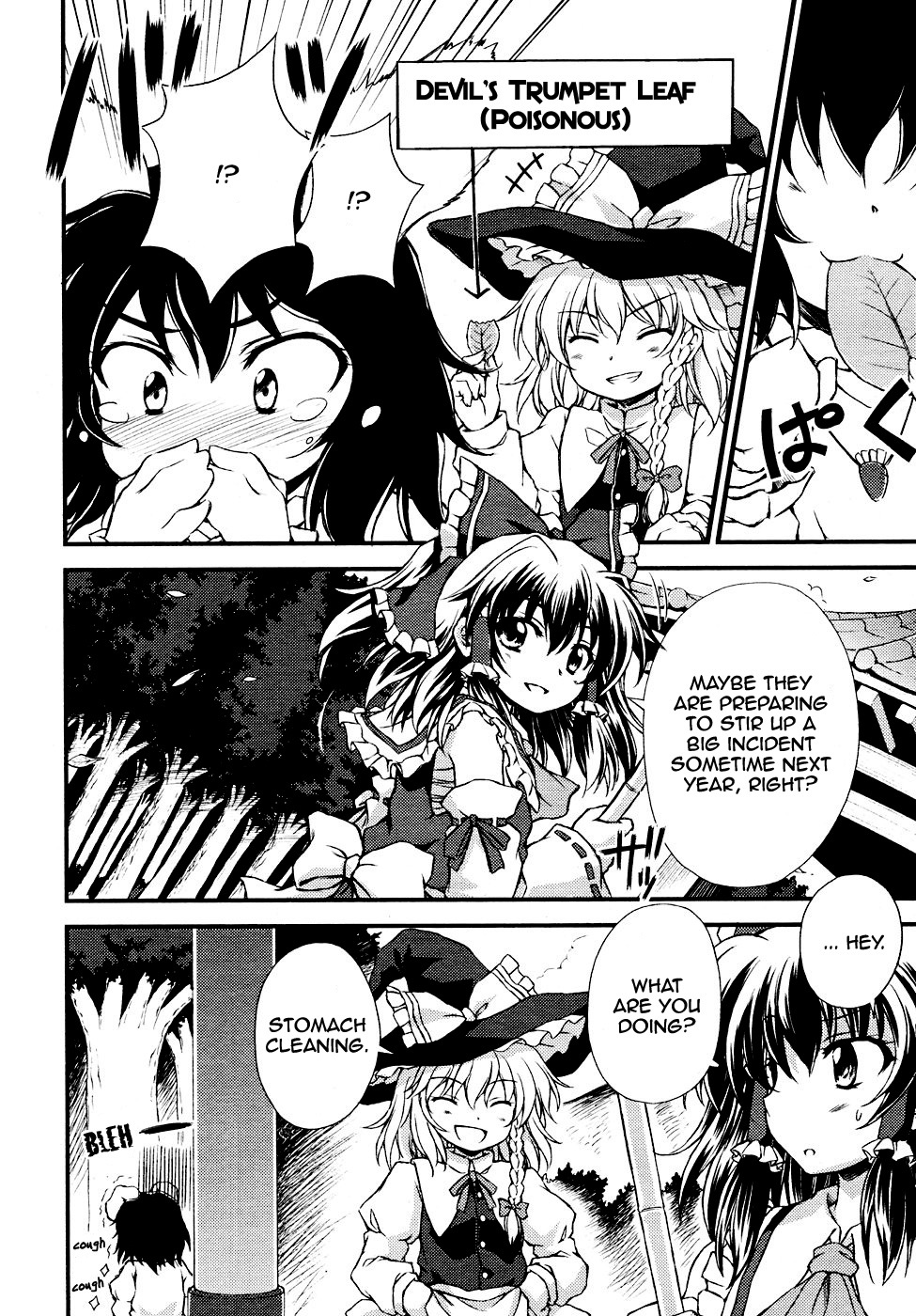 Touhou Sangetsusei: Strange and Bright Nature Deity Chapter 4 page 6 - Chapter 4: Beyond the Incidents