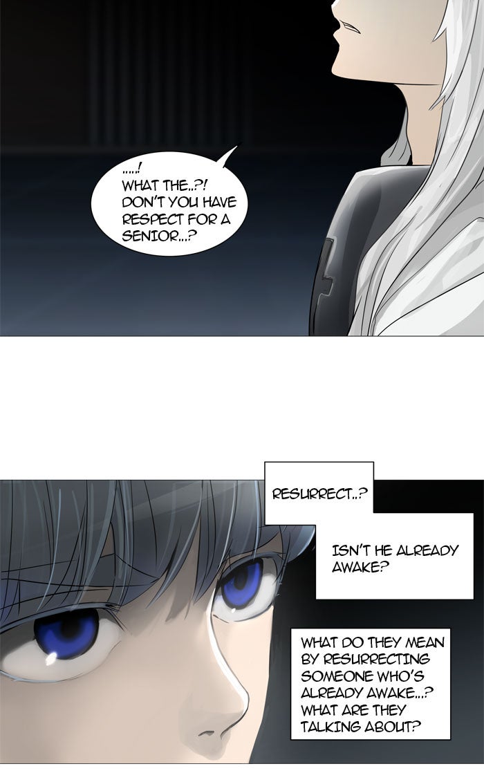 Tower of God manga, chapter 245, page 29 of 42