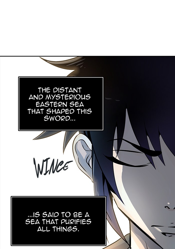 Tower of God manga, chapter 494, page 88 of 268