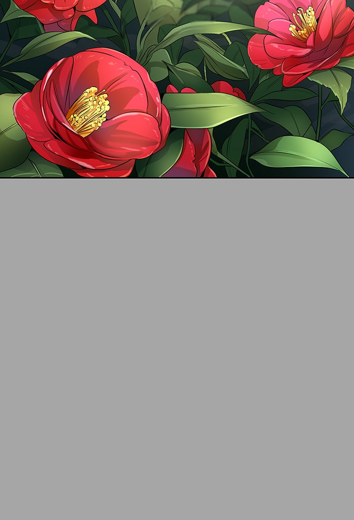 Tower of God manga, chapter 527, page 211 of 254