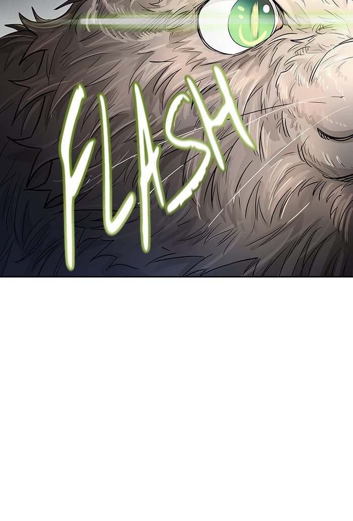 Tower of God manga, chapter 533, page 138 of 167