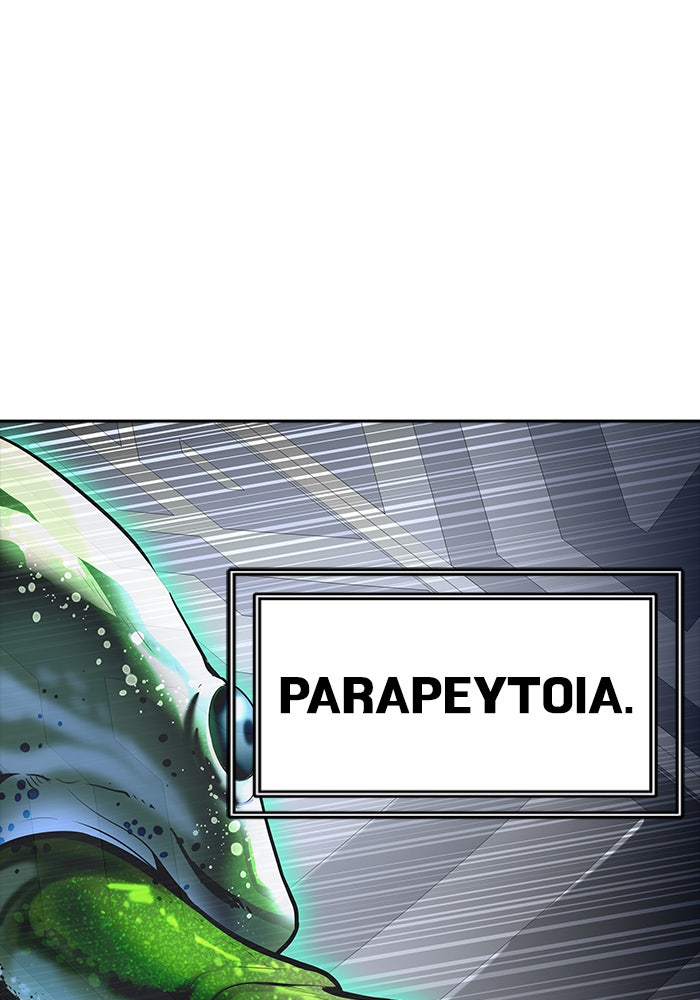 Tower of God manga, chapter 537, page 91 of 254