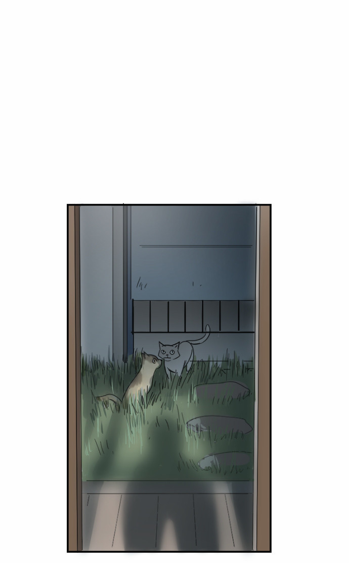 Transparent Cohabitation Chapter 10 page 67 - Chapter 10: Doubt