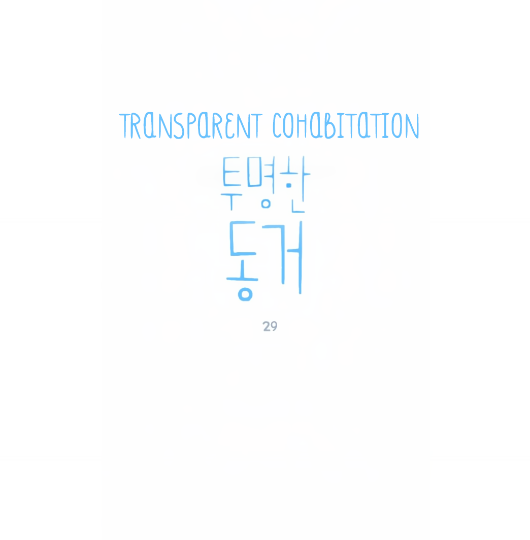 Transparent Cohabitation Chapter 29 page 3 - Chapter 29: Song Ahyoung (3)