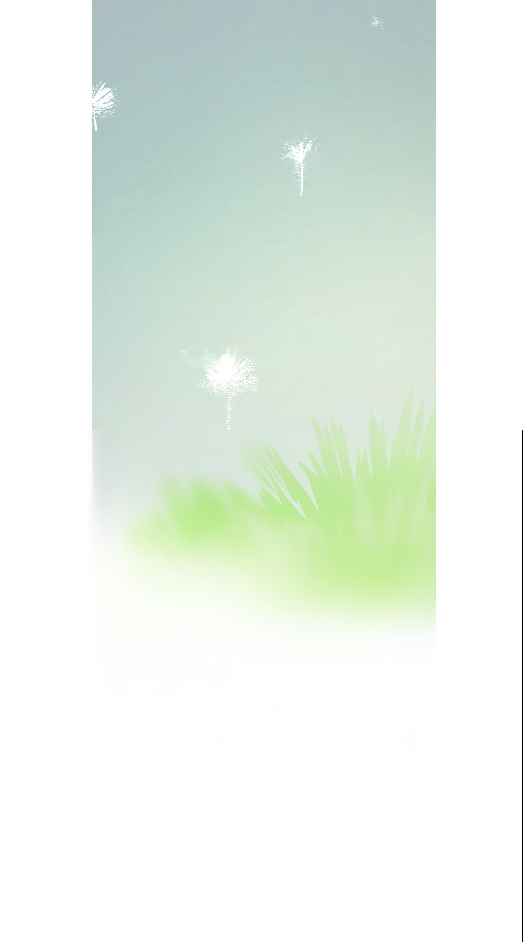 Transparent Cohabitation Chapter 47 page 46 - Chapter 47: Final