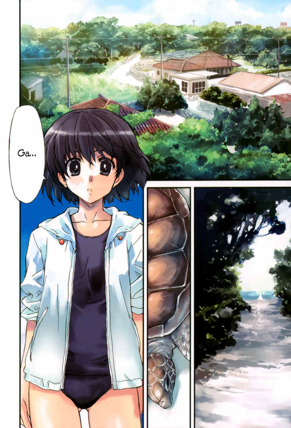 Tsubame - Hidamari Shoujo Kikou Chapter 1 page 4 - Chapter 1: Hibiscus and Ryuuguu-jou. Taketomi Island
