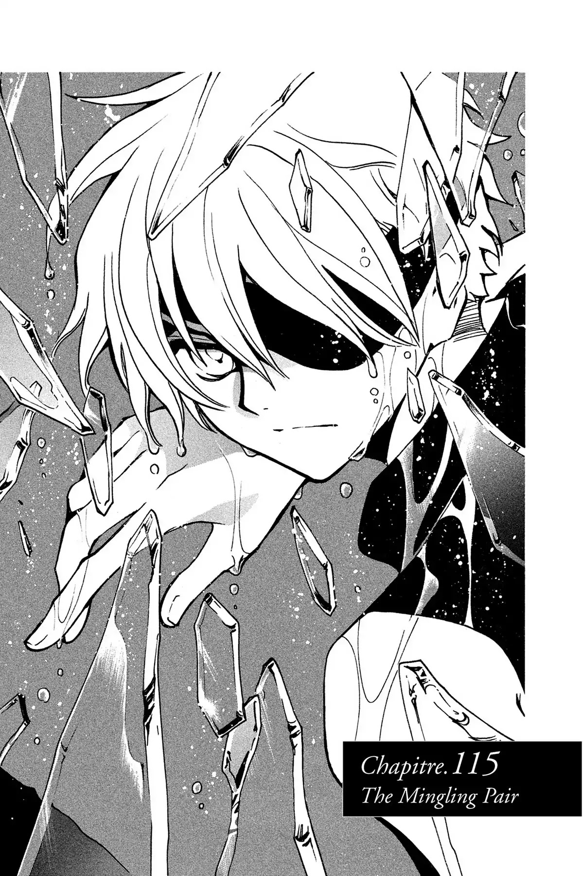 Tsubasa: Reservoir Chronicle Chapter 115 page 1 - Chapter 115: The Mingling Pair
