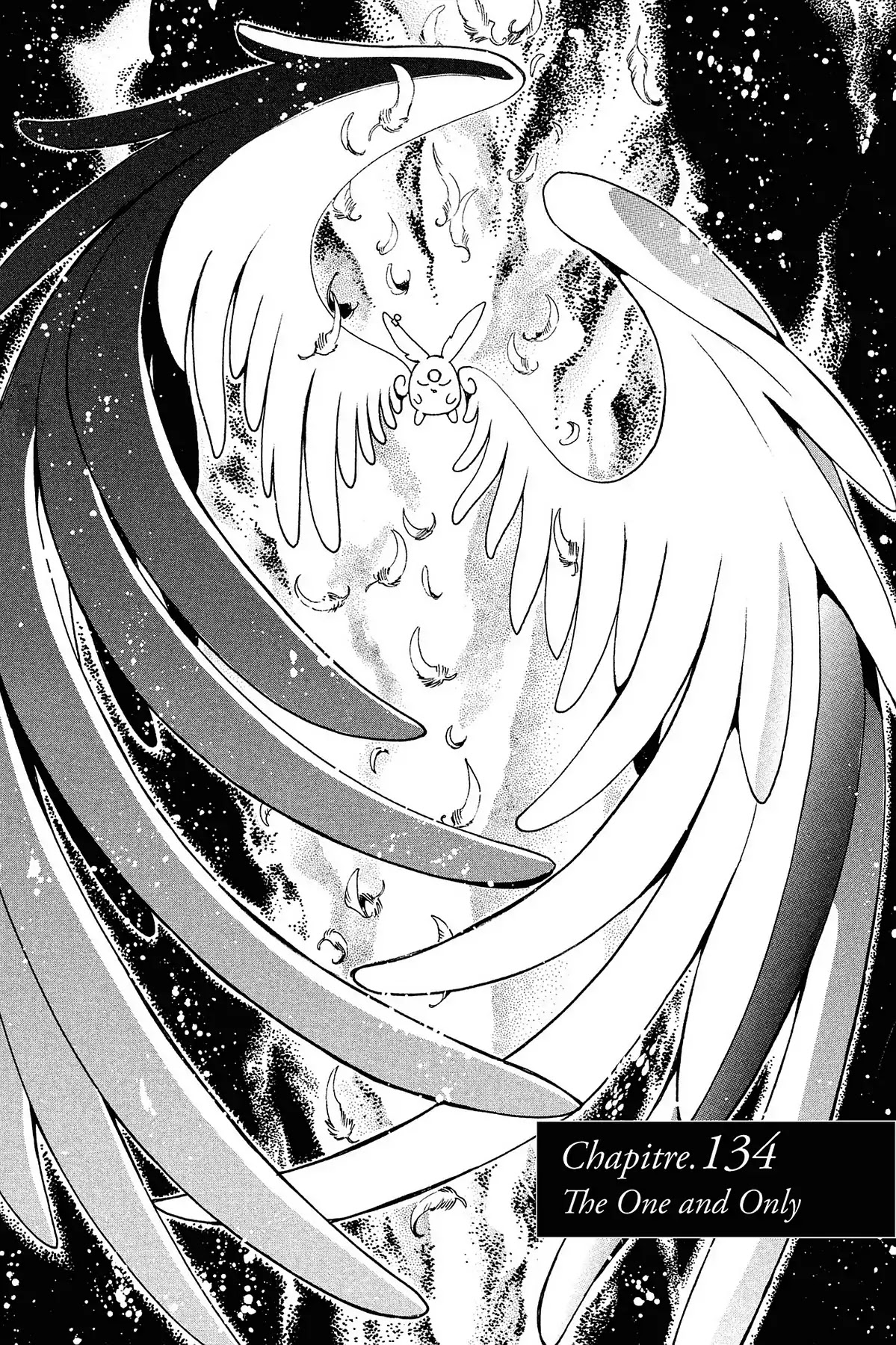 Tsubasa: Reservoir Chronicle Chapter 134 page 1 - Chapter 134: The One and Only