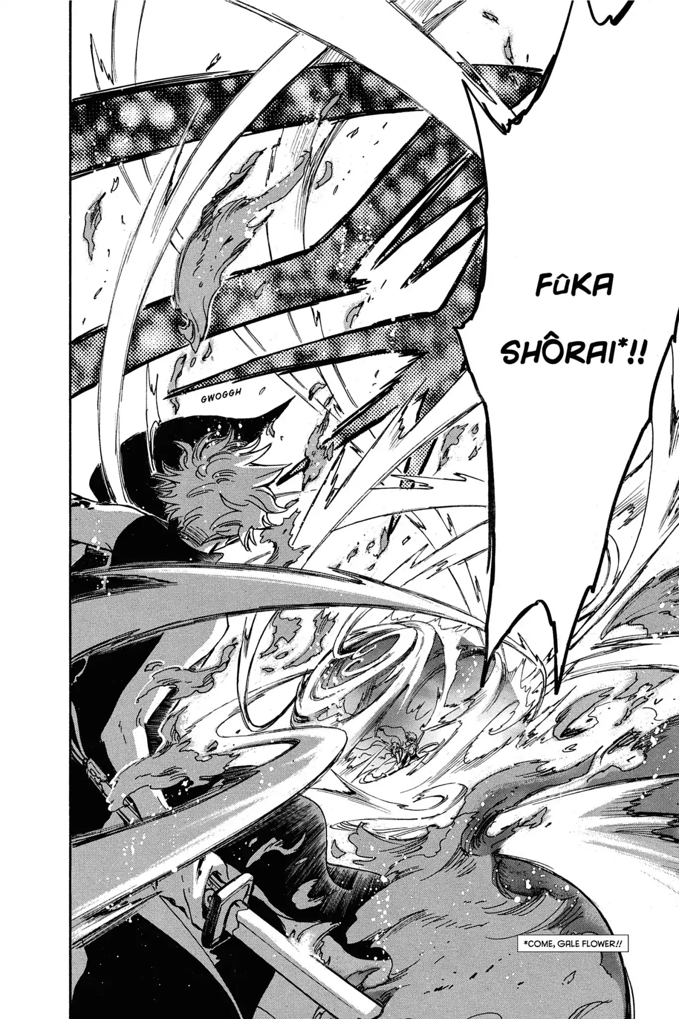 Tsubasa: Reservoir Chronicle Chapter 174 page 16 - Chapter 174: The Path Believed In