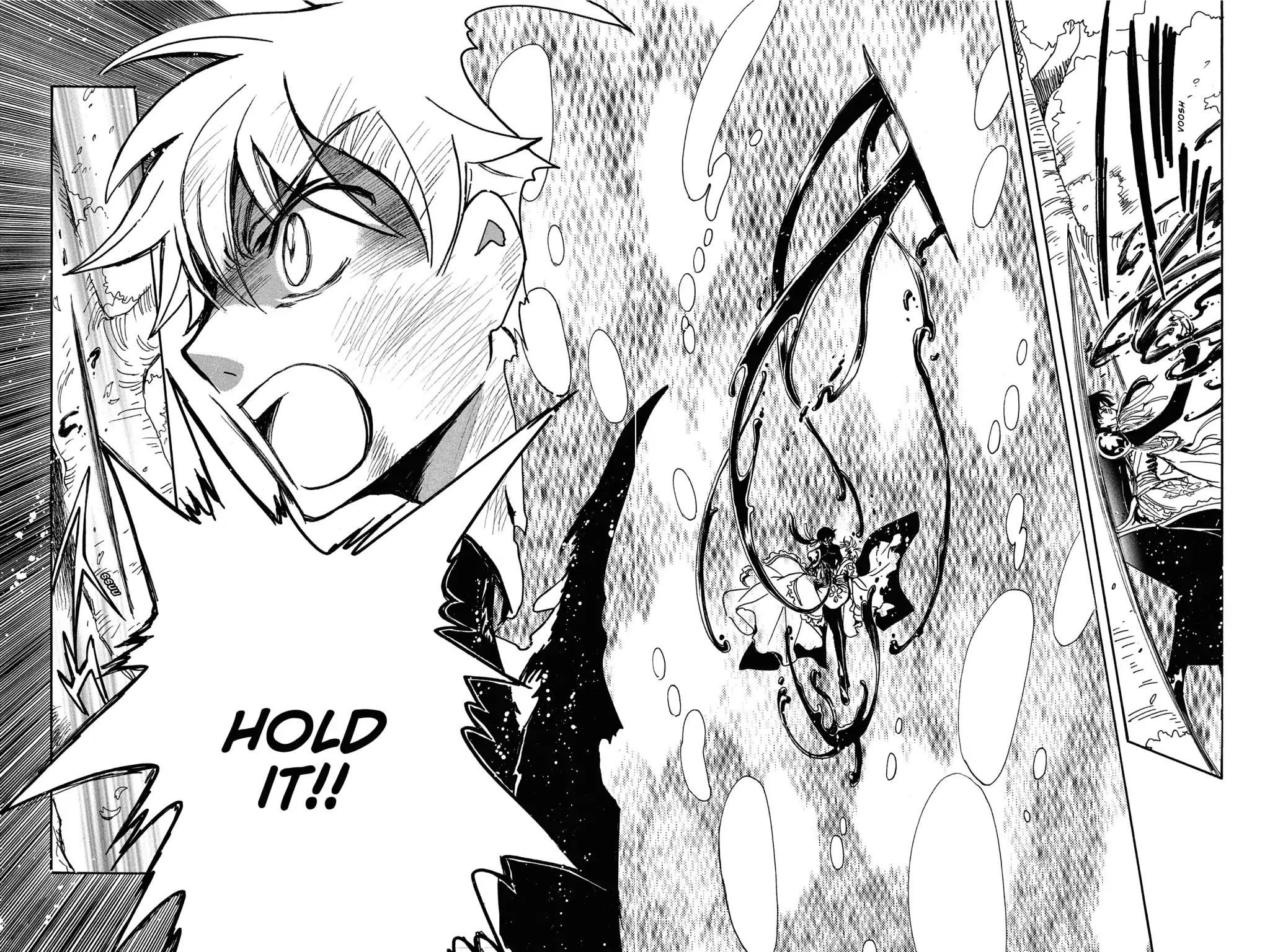 Tsubasa: Reservoir Chronicle Chapter 179 page 17 - Chapter 179: The Two Images