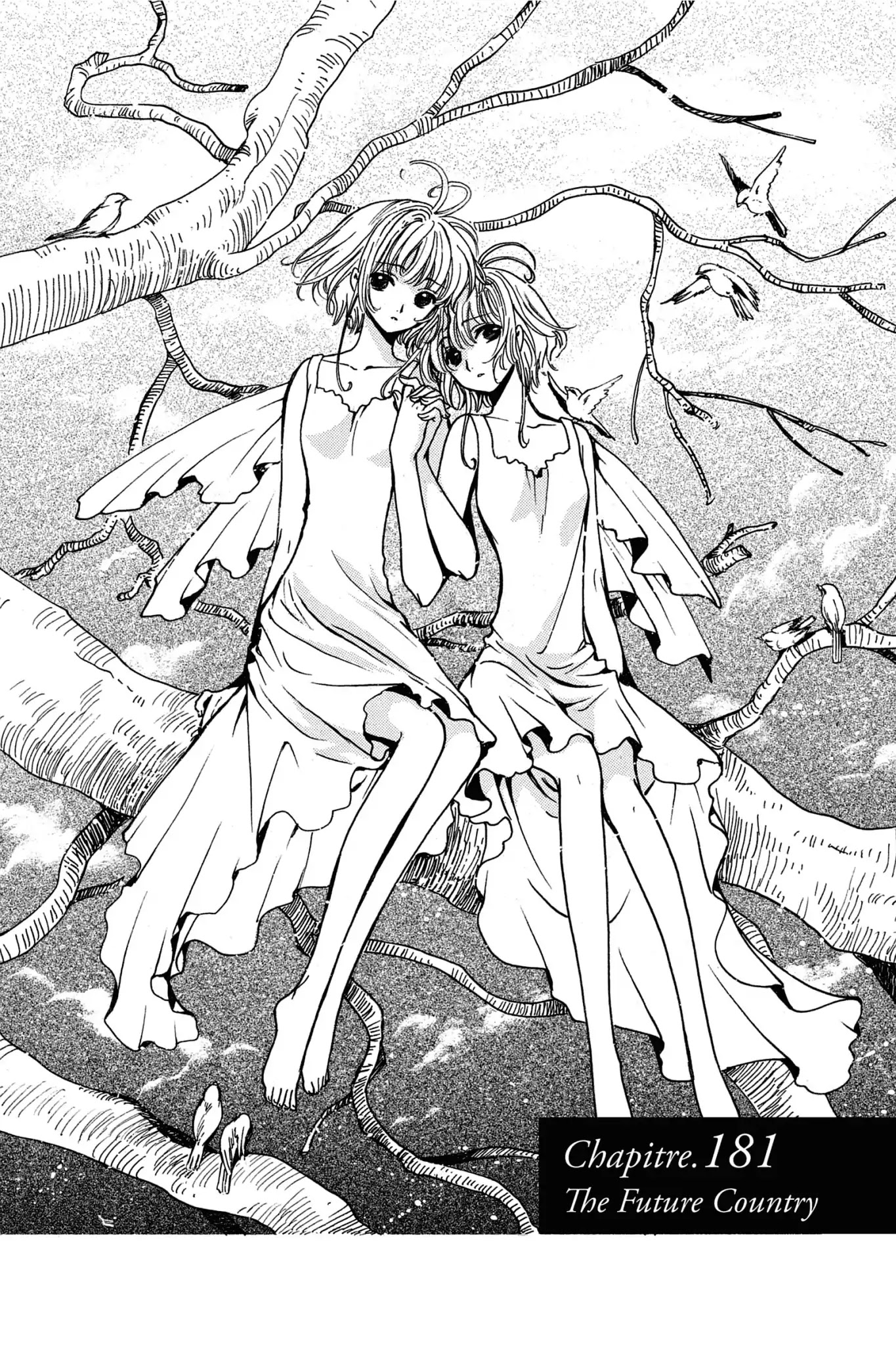 Tsubasa: Reservoir Chronicle Chapter 181 page 1 - Chapter 181: The Future Country