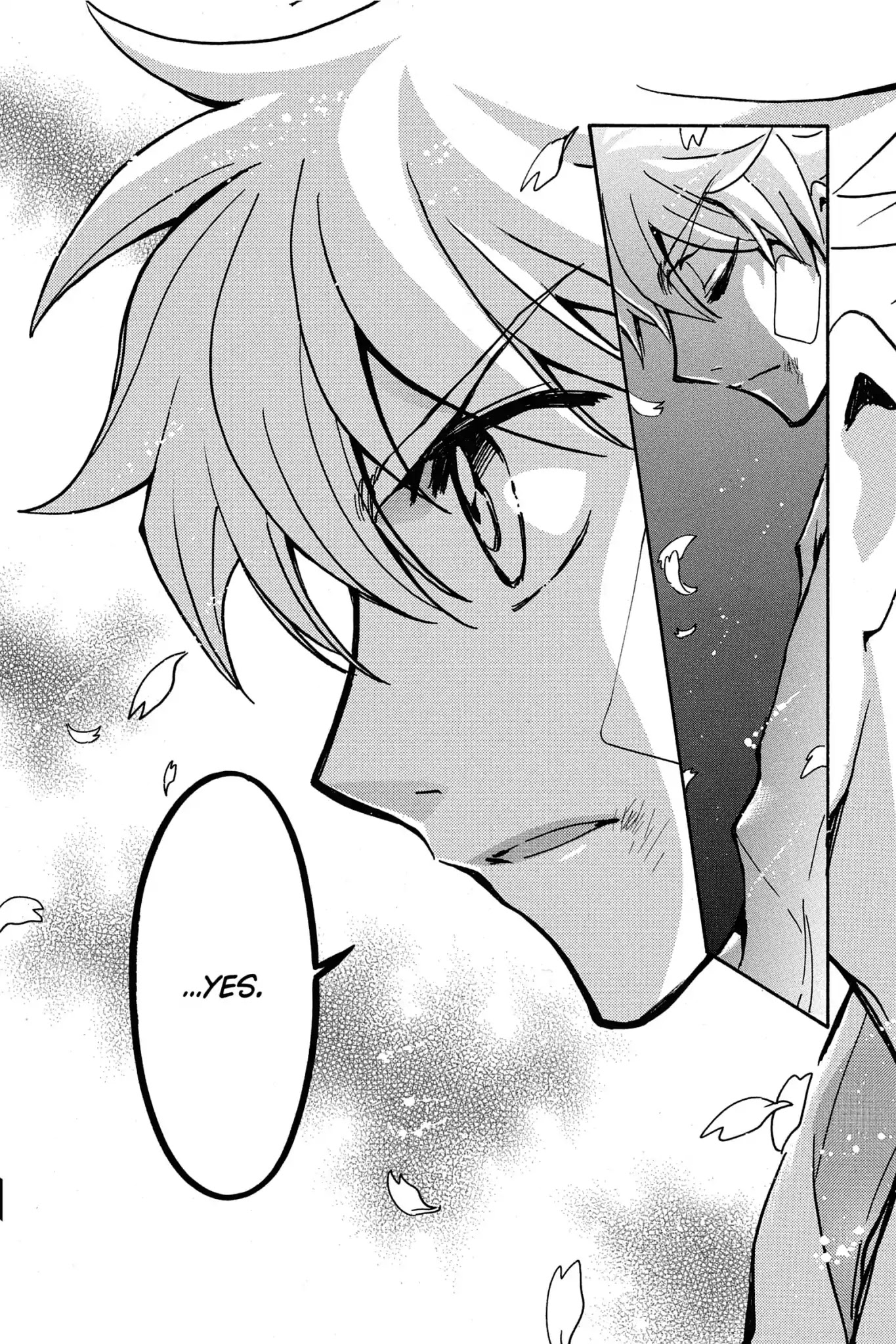 Tsubasa: Reservoir Chronicle Chapter 182 page 17 - Chapter 182: The Night of Vows
