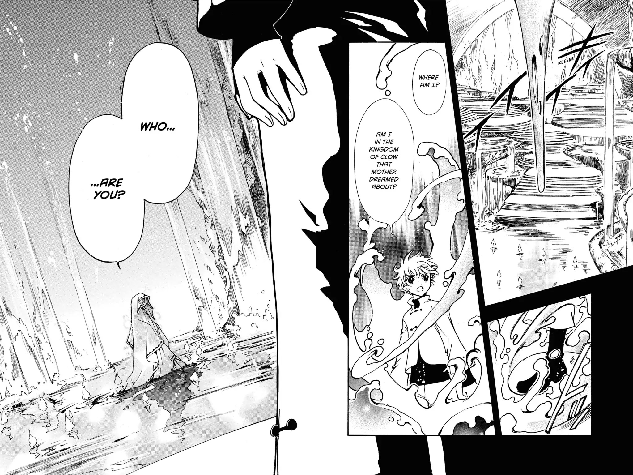 Tsubasa: Reservoir Chronicle Chapter 189 page 14 - Chapter 189: Inherited Resolve