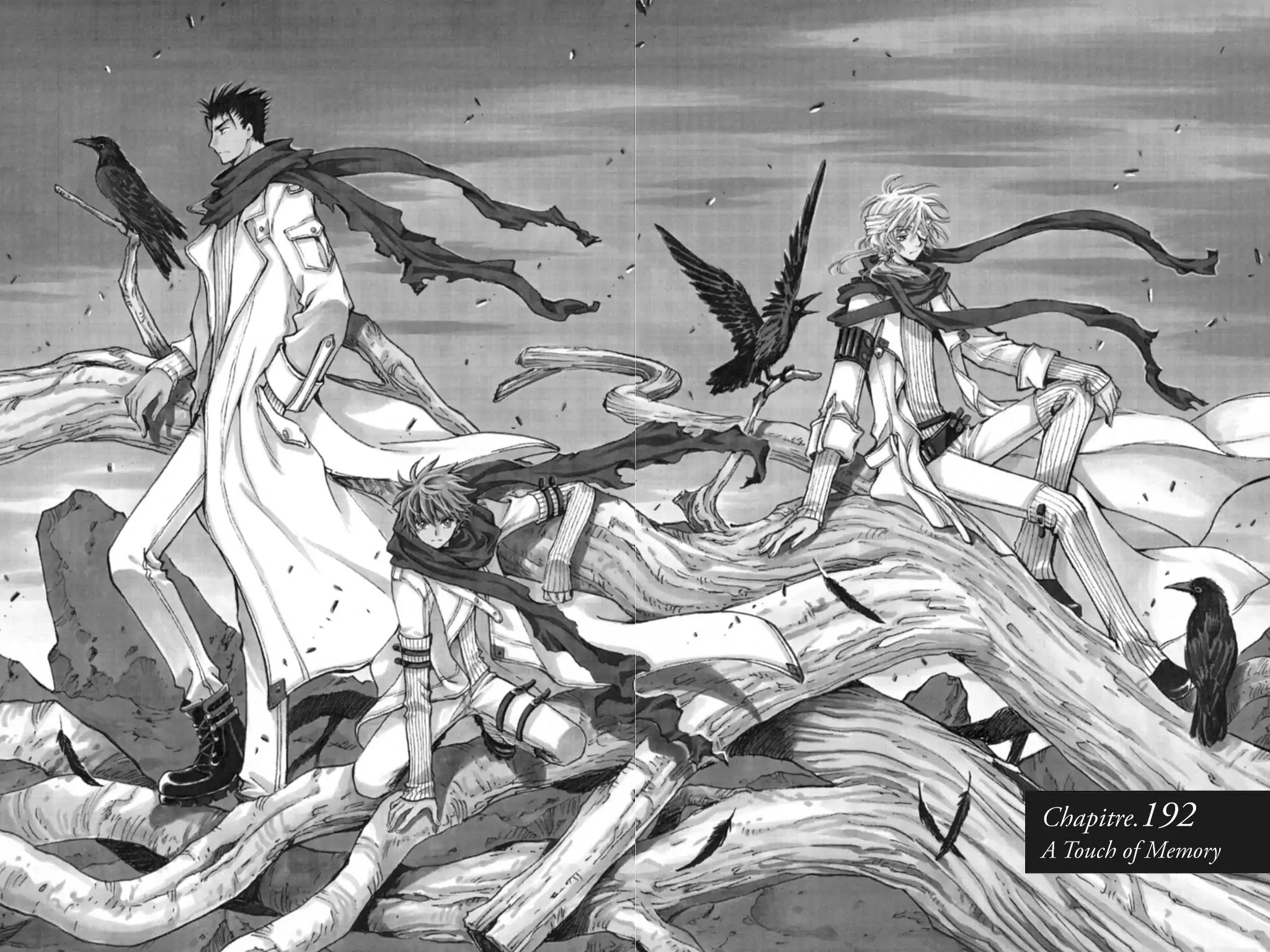 Tsubasa: Reservoir Chronicle Chapter 192 page 2 - Chapter 192: A Touch of Memory
