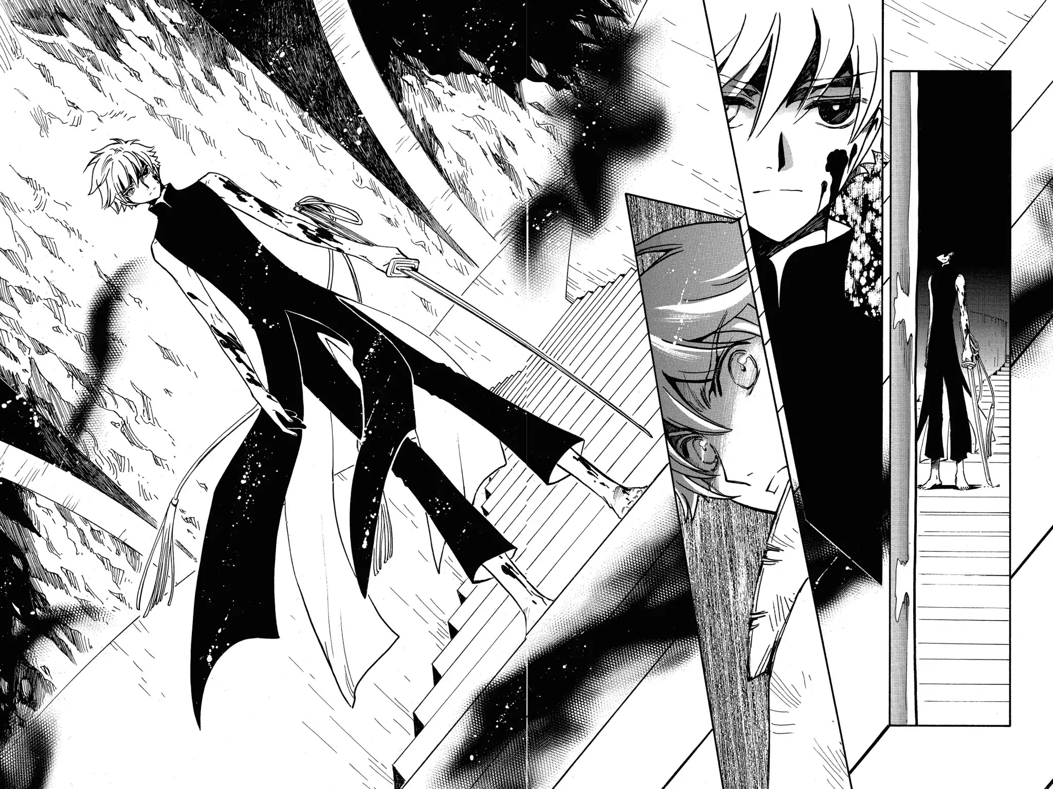 Tsubasa: Reservoir Chronicle Chapter 204 page 13 - Chapter 204: The Dual Wishes