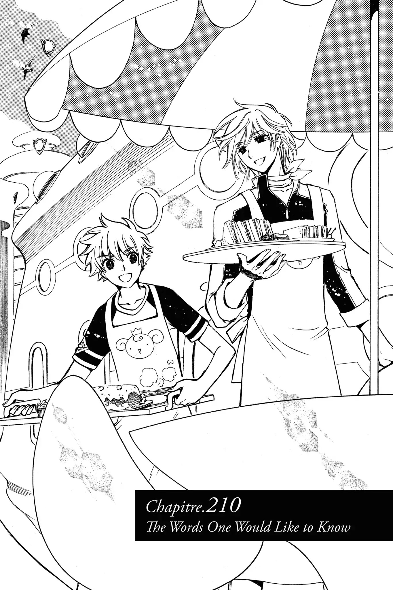 Tsubasa: Reservoir Chronicle Chapter 210 page 1 - Chapter 210: The Words Would Like to Know
