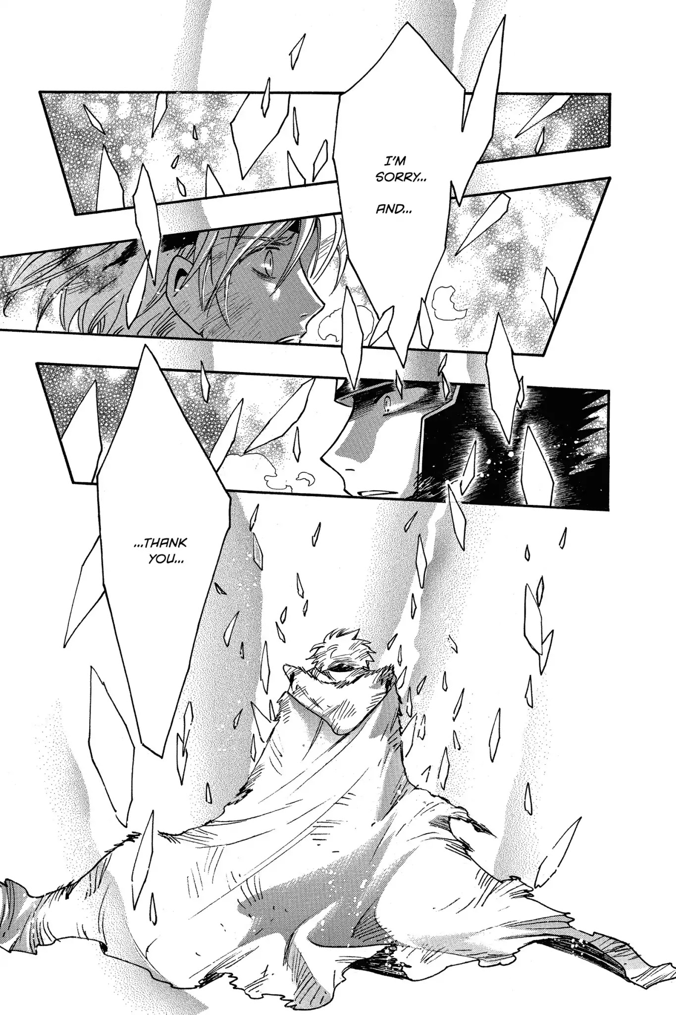 Tsubasa: Reservoir Chronicle Chapter 211 page 5 - Chapter 211: The Burned-in Smile