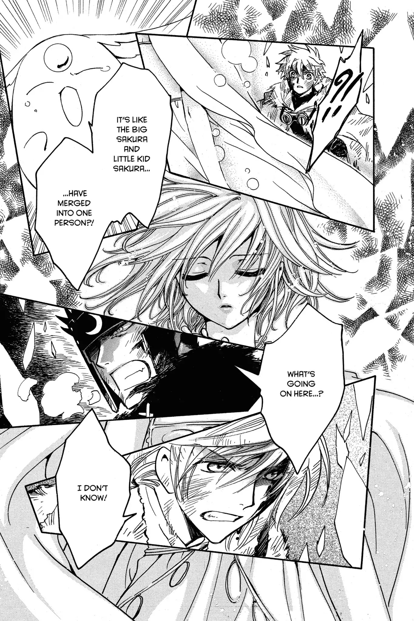 Tsubasa: Reservoir Chronicle Chapter 215 page 4 - Chapter 215: The True Being