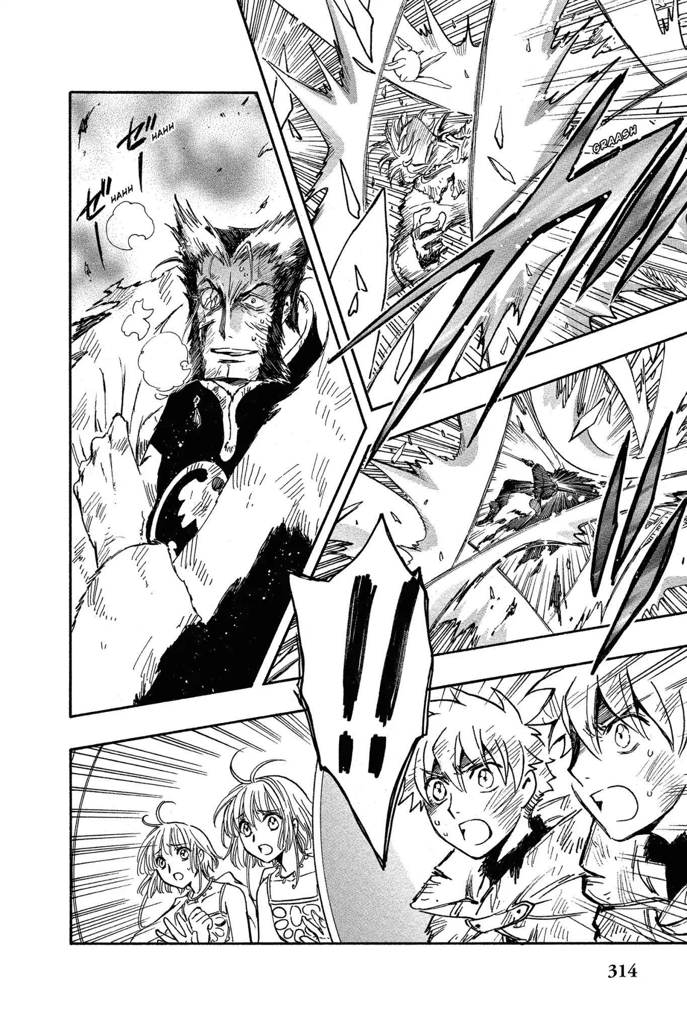 Tsubasa: Reservoir Chronicle Chapter 228 page 13 - Chapter 228: Overlapping Emotions