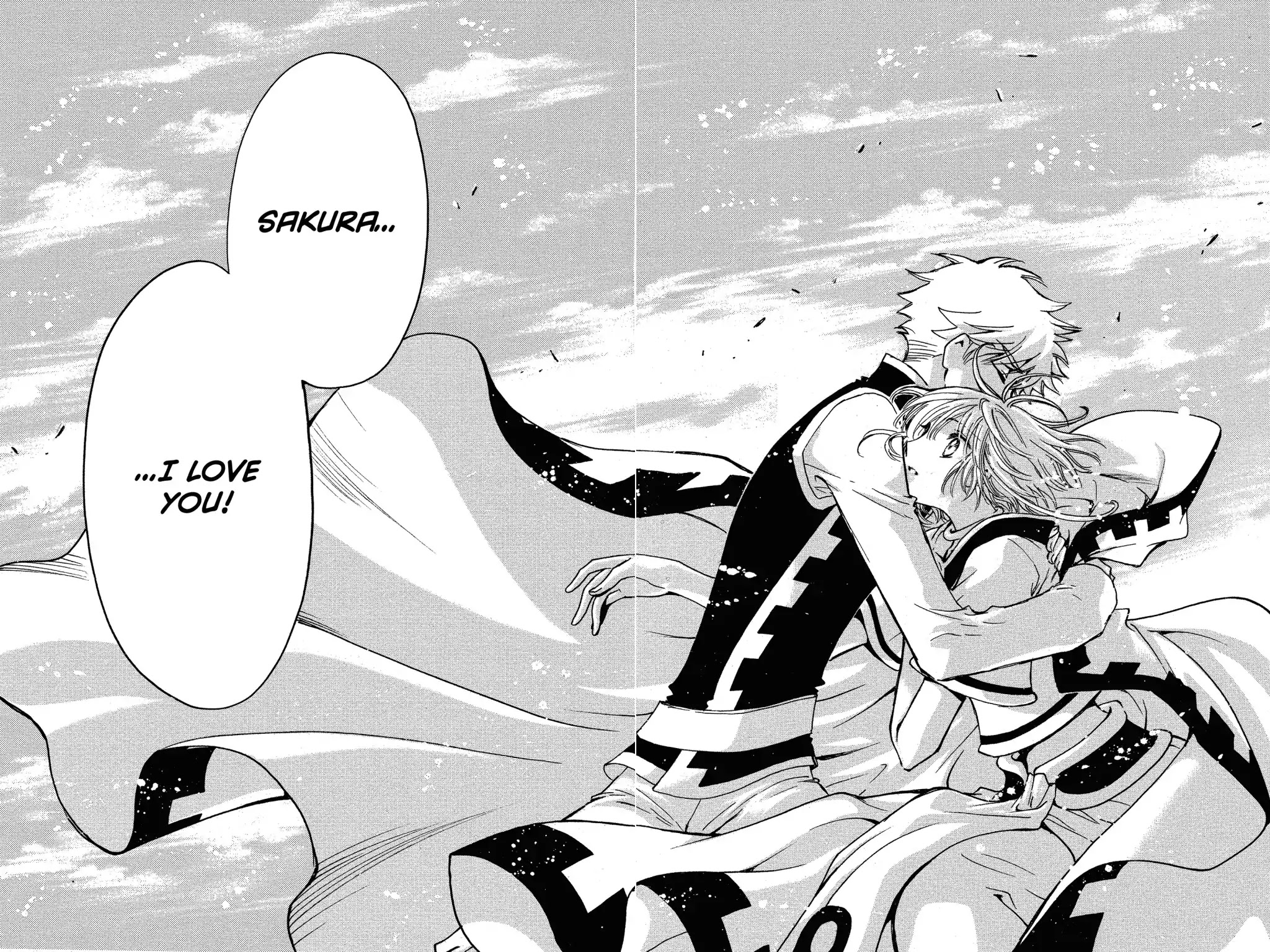 Tsubasa: Reservoir Chronicle Chapter 233 page 25 - Chapter 233: Special Chapter: The World Returned To