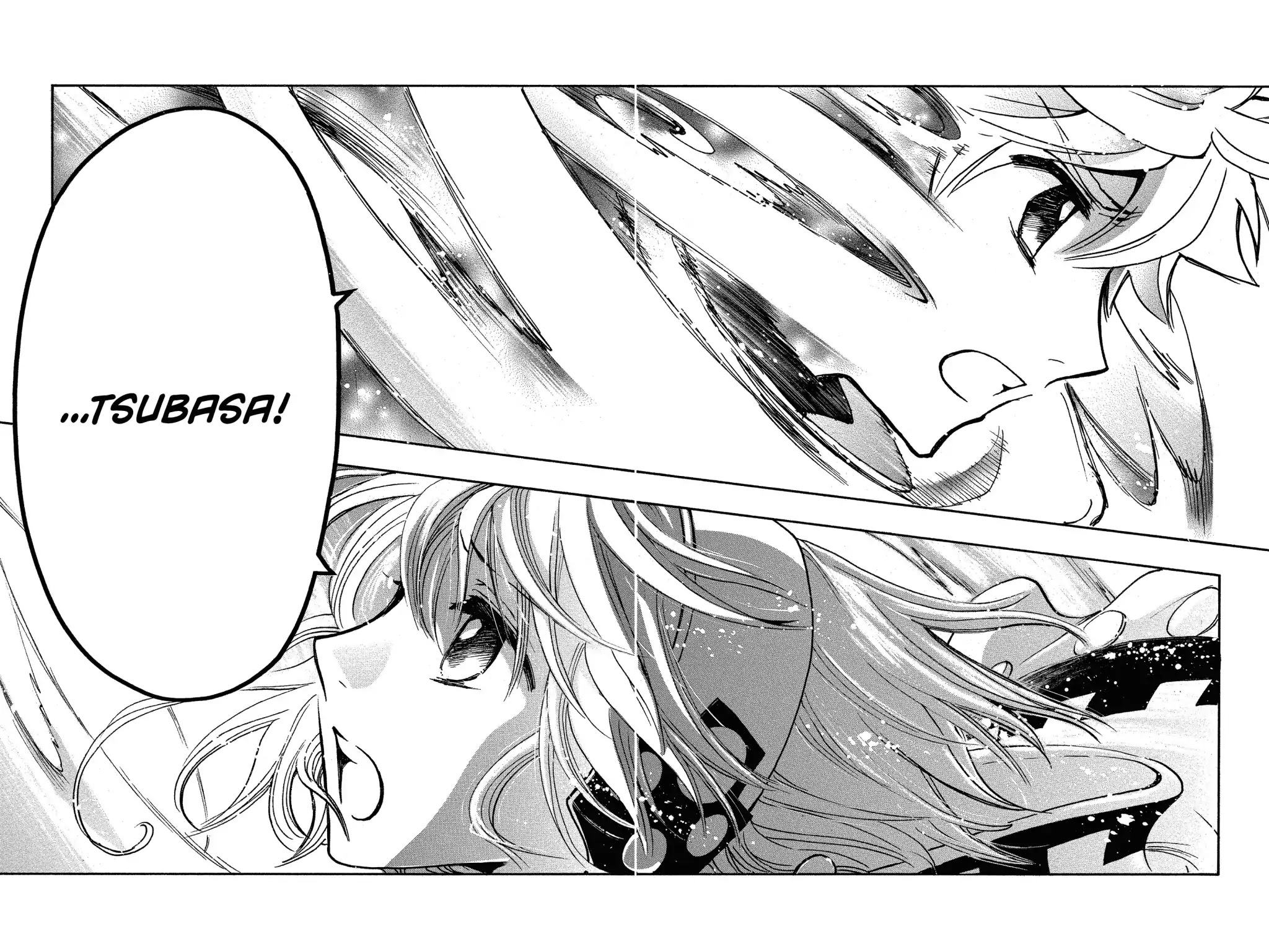 Tsubasa: Reservoir Chronicle Chapter 233 page 39 - Chapter 233: Special Chapter: The World Returned To