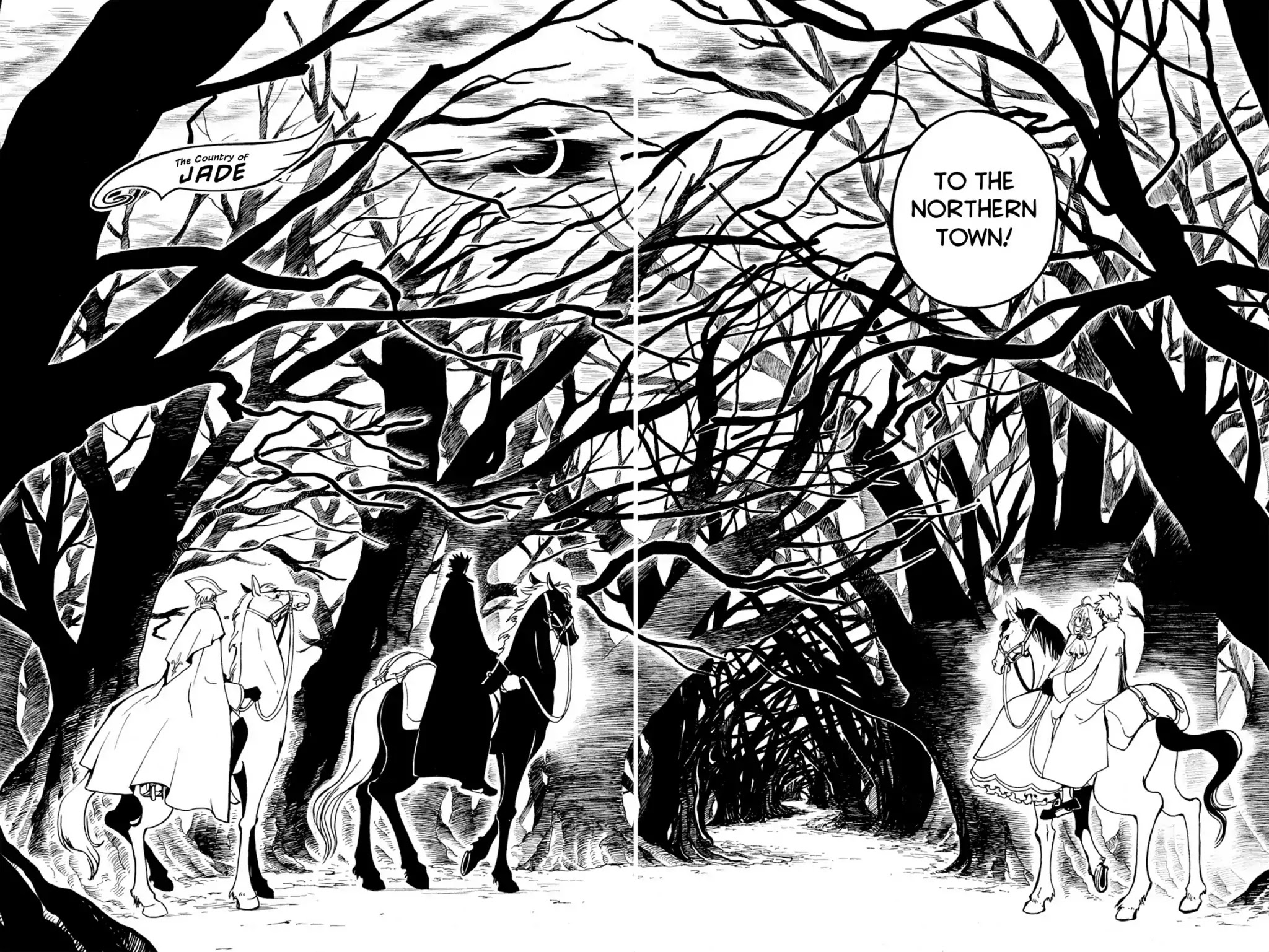 Tsubasa: Reservoir Chronicle Chapter 25 page 14 - Chapter 25: The Fairy Tale Country