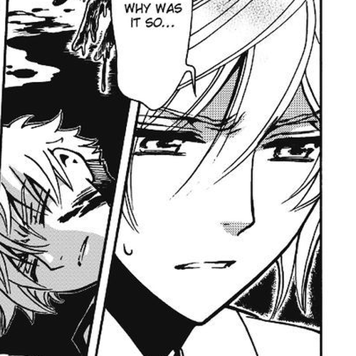 Tsubasa World Chronicle: Nirai Kanai-hen Chapter 10 cover