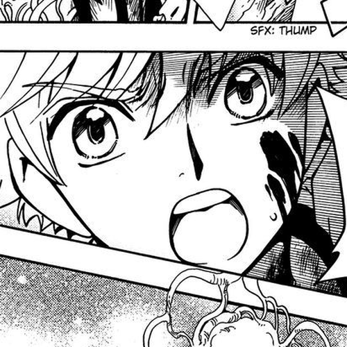 Tsubasa World Chronicle: Nirai Kanai-hen Chapter 15 cover