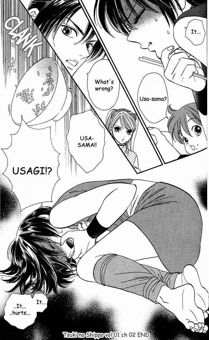 Tsuki no Shippo Chapter 2 page 25 - Chapter 2