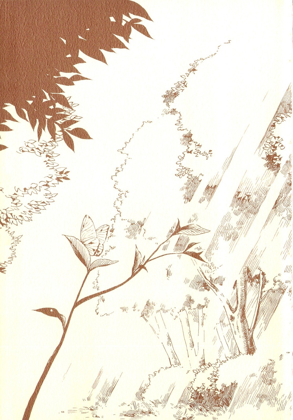 Tsukiyo no Toratsugumi Chapter 1 page 3 - Chapter 1: The Witch of the Flower Forest