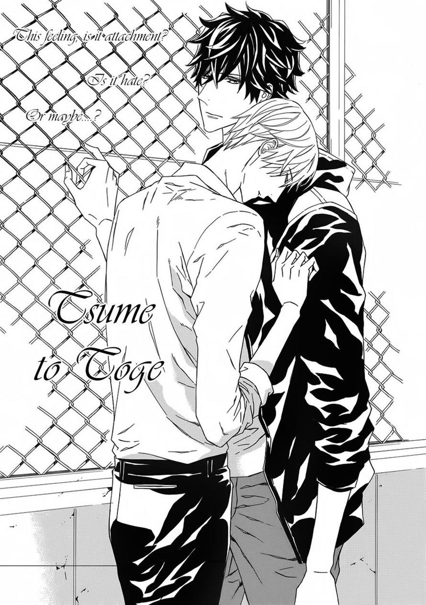 Tsume to Toge Chapter 5 page 1 - Chapter 5