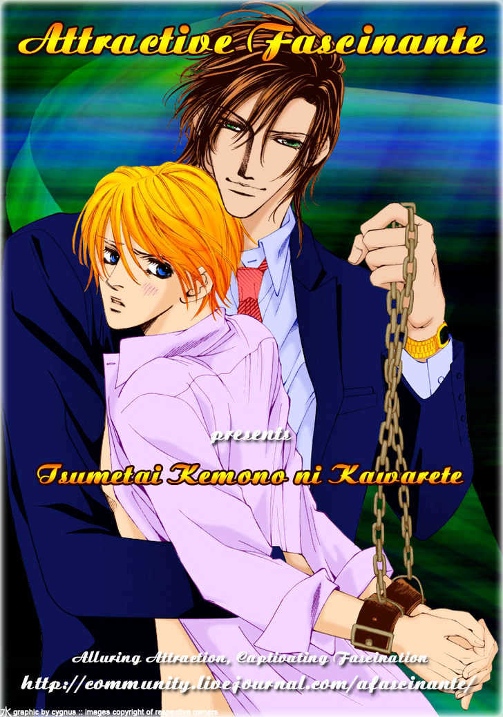 Tsumetai Kemono ni Kawarete Chapter 3 page 3 - Chapter 3 : Be My Slave