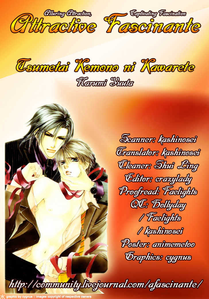 Tsumetai Kemono ni Kawarete Chapter 3 page 4 - Chapter 3 : Be My Slave