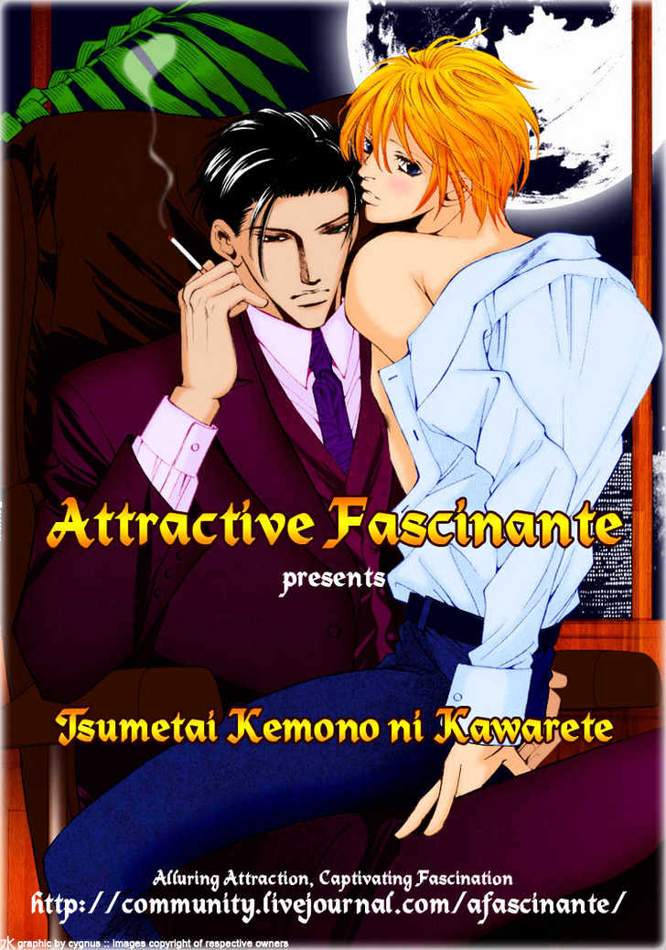 Tsumetai Kemono ni Kawarete Chapter 4 page 3 - Chapter 4 : The Sweet Control