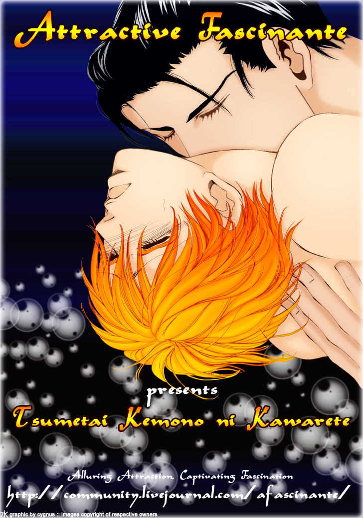 Tsumetai Kemono ni Kawarete Chapter 5 page 3 - Chapter 5 : Love Label A
