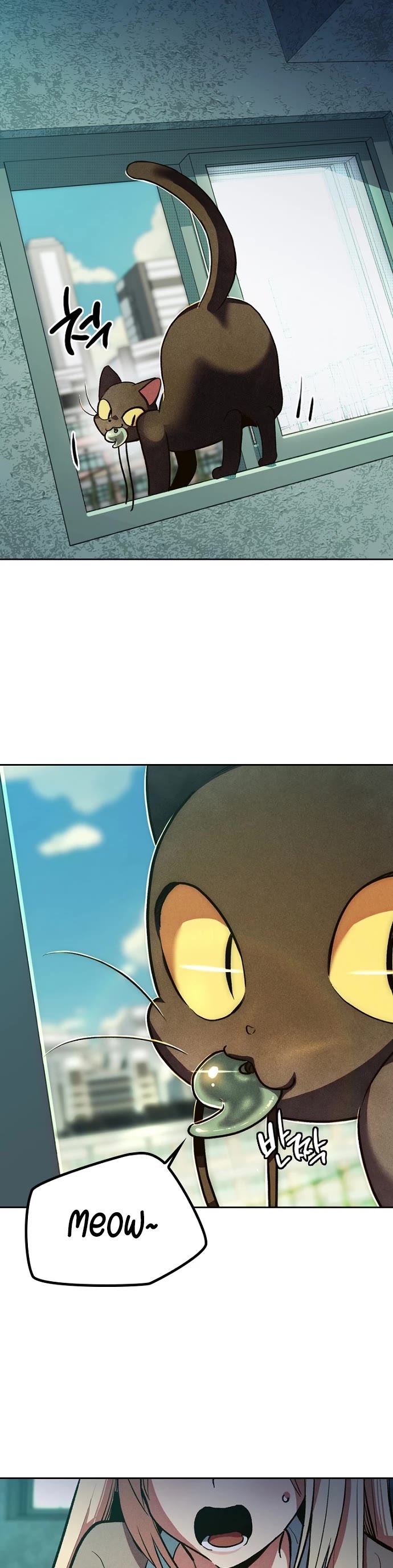Twelve Zodiac Girls Chapter 1 page 47 - Chapter 1