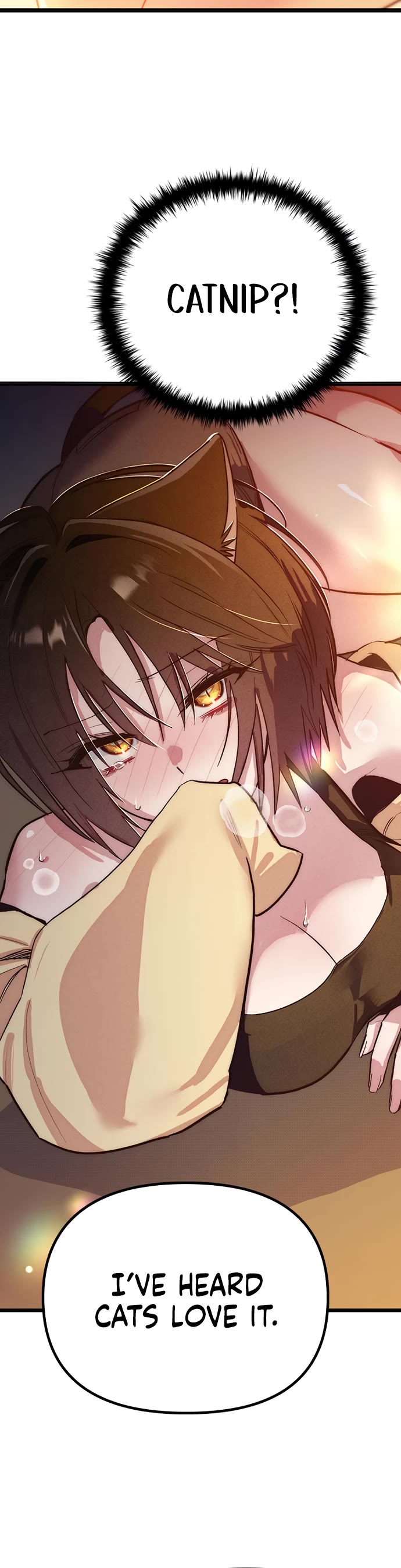 Twelve Zodiac Girls Chapter 16 page 39 - Chapter 16