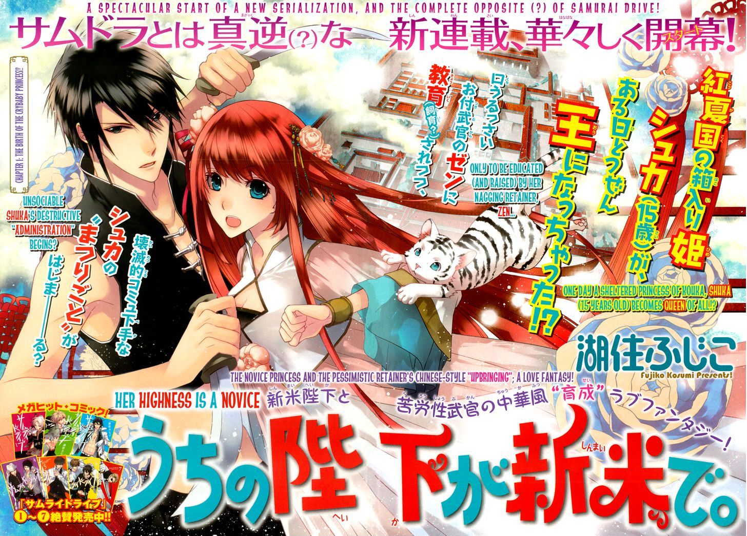 Uchi no Heika ga Shinmai de Chapter 1 page 3 - Chapter 1 : The Birth of the Crybaby Princess!?
