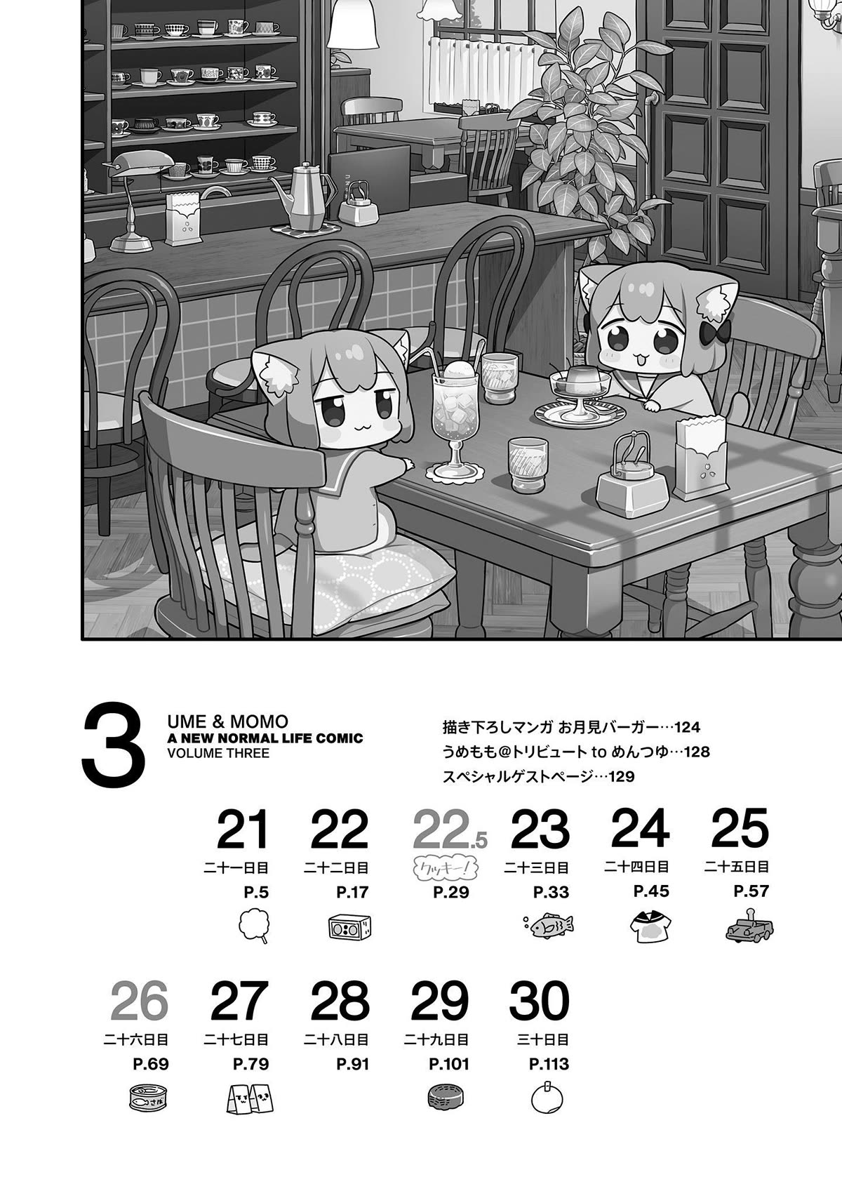 Ume and Momo's Ordinary Life Chapter 21 page 3 - Chapter 21: Day 21