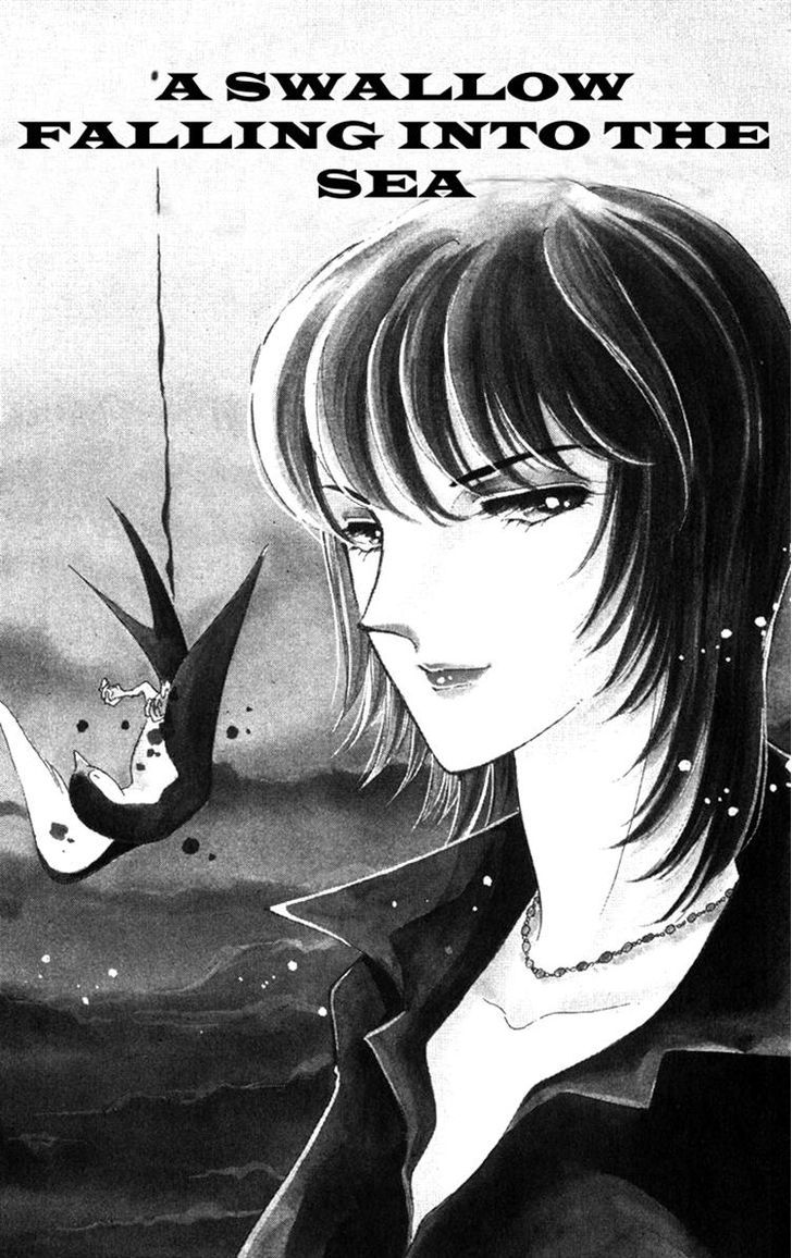 Umi ni Ochiru Tsubame Chapter 1 page 3 - Chapter 1