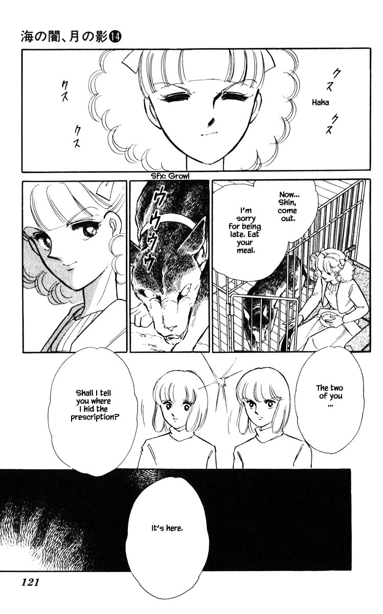 Umi no Yami, Tsuki no Kage Chapter 106 page 17 - Chapter 106