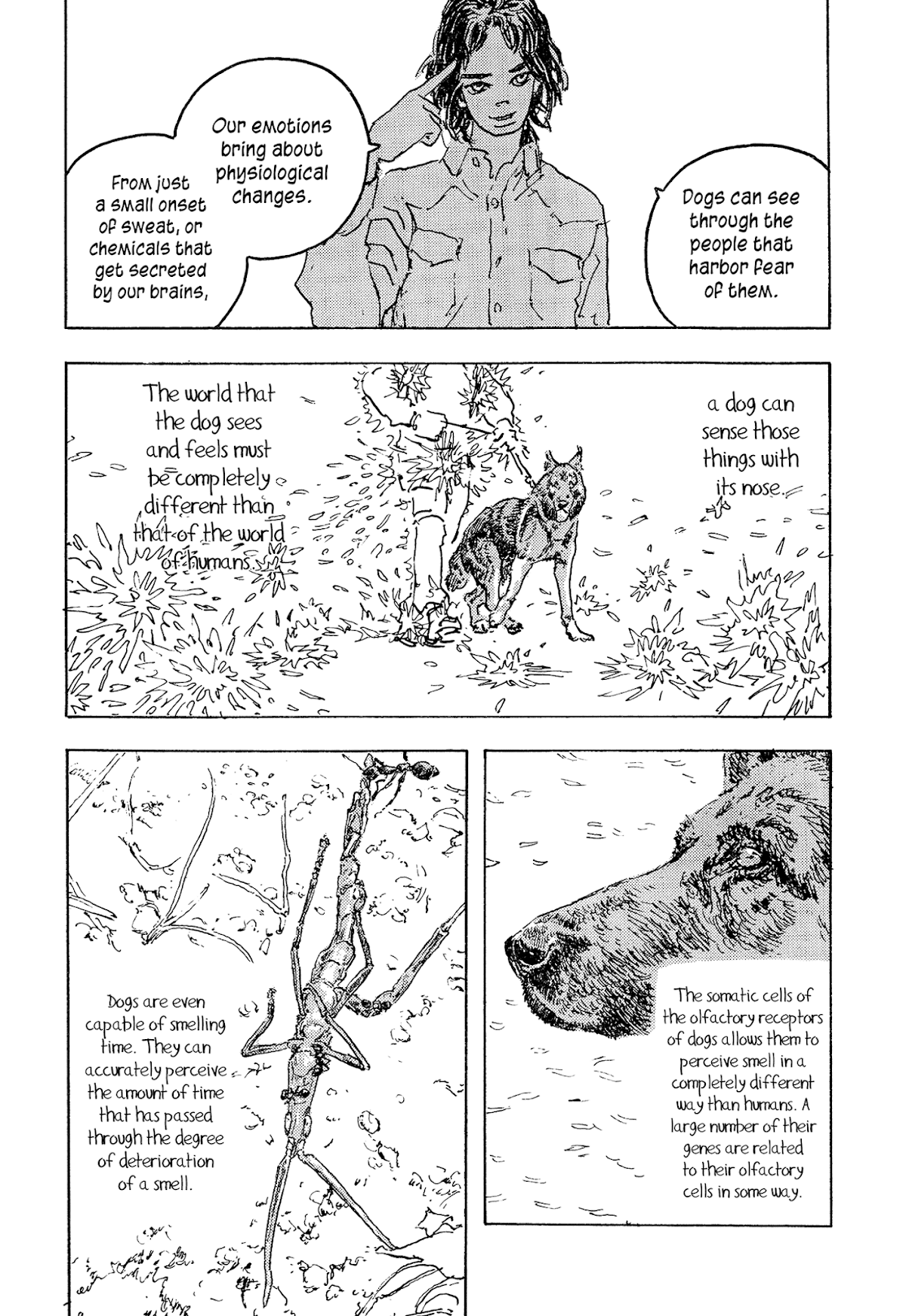 Umwelt Chapter 10 page 32 - Chapter 10: Umwelt